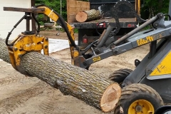 MiniLogCrane