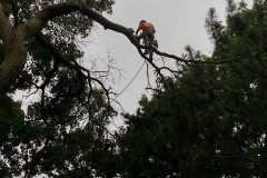 MonkeyShot2
