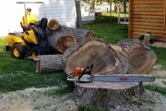 PickingUpthePieces_GreatChainSawShot