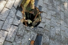 RoofDamage