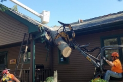 RoofTreeRemoval