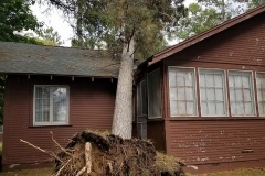 TreeonCabin