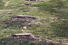stumps