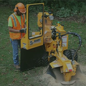 Stump Grinding