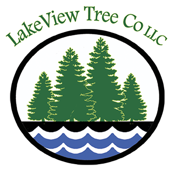 Lakeview Tree Co - Crosslake, MN